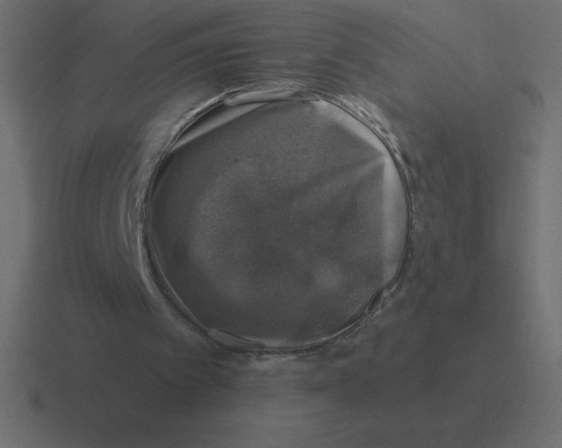 X0000116450097200912291955
