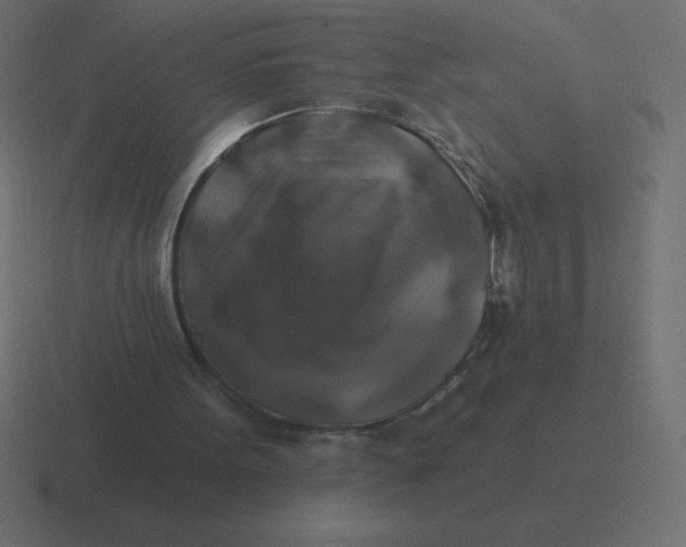 X0000116450099200912291955