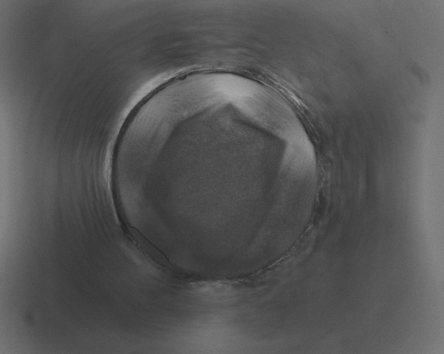 X0000116450100200912291955
