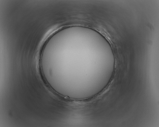 X0000116450101200912291955