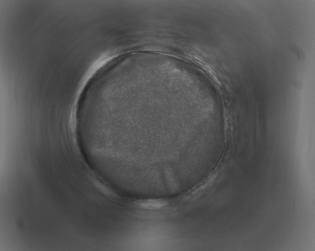 X0000116450102200912291955