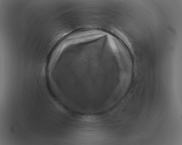 X0000116450105200912291955
