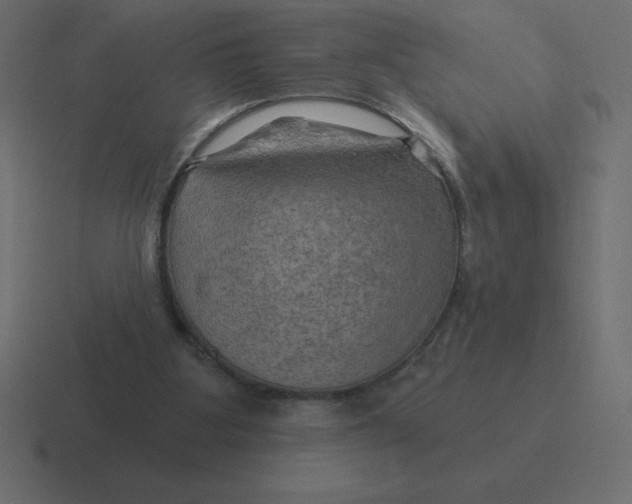 X0000116450107200912291955