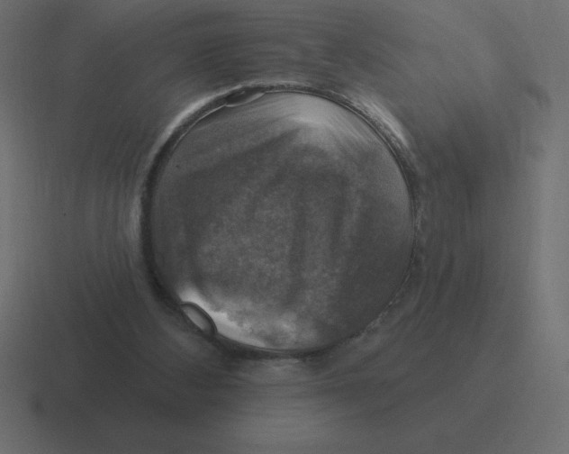 X0000116450108200912291955