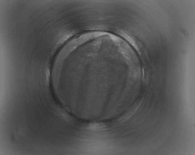 X0000116450109200912291955