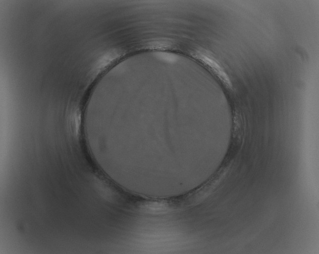 X0000116450110200912291955