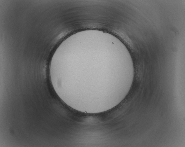 X0000116450111200912291955