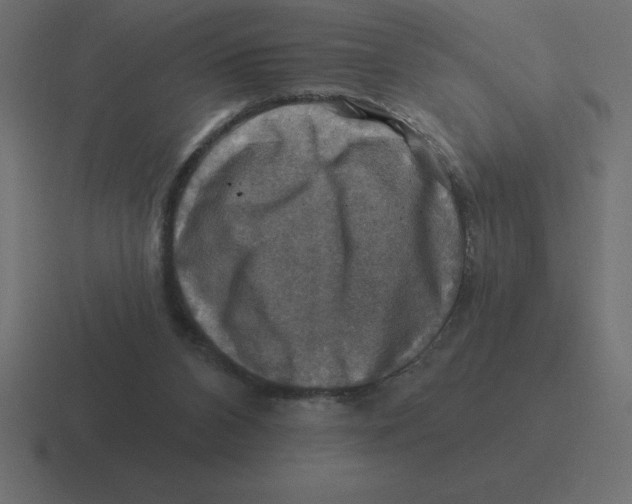 X0000116450112200912291955