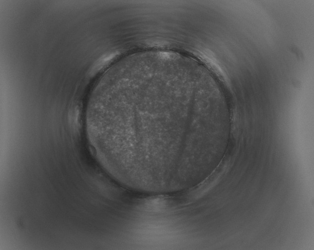 X0000116450116200912291955