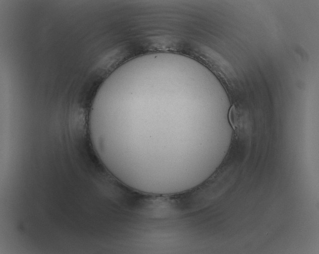 X0000116450121200912291955