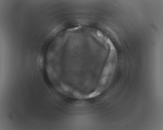 X0000116450123200912291955