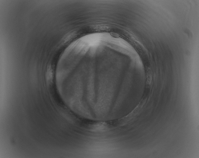 X0000116450124200912291955