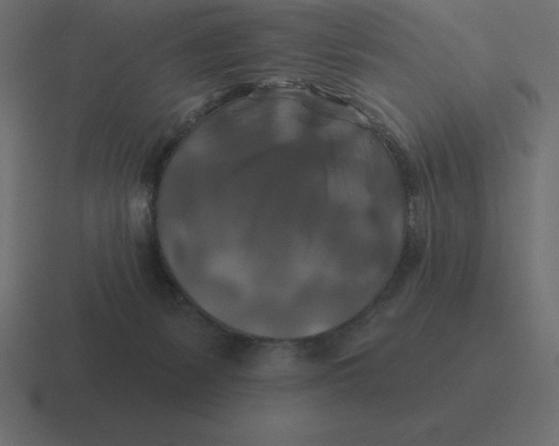 X0000116450127200912291955