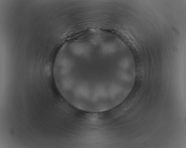 X0000116450131200912291955