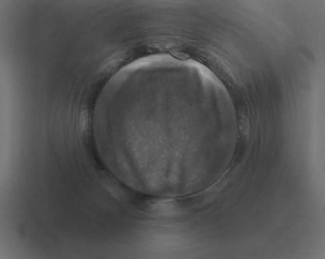 X0000116450132200912291955