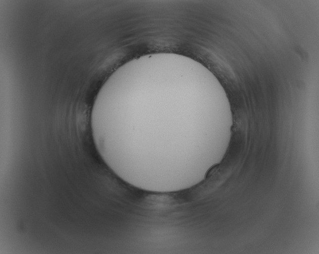 X0000116450133200912291955
