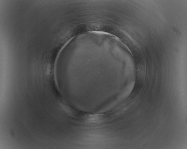X0000116450134200912291955