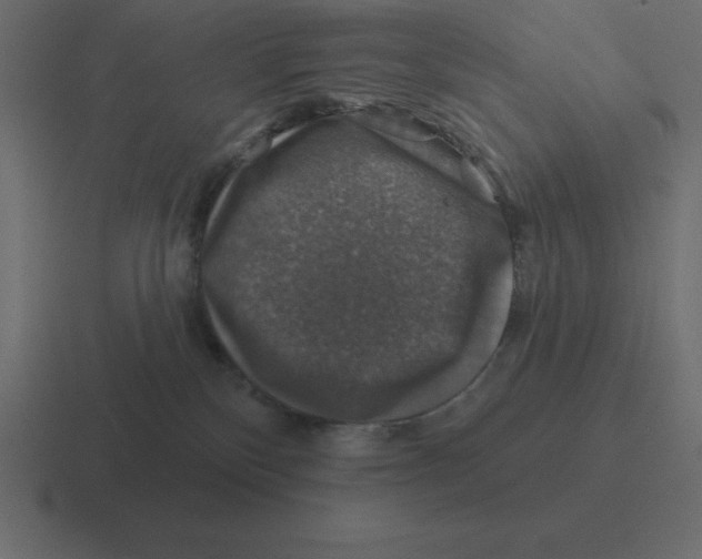 X0000116450136200912291955
