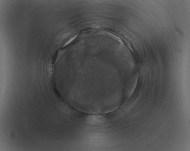 X0000116450137200912291955