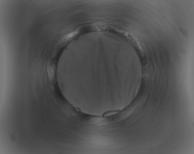 X0000116450139200912291954