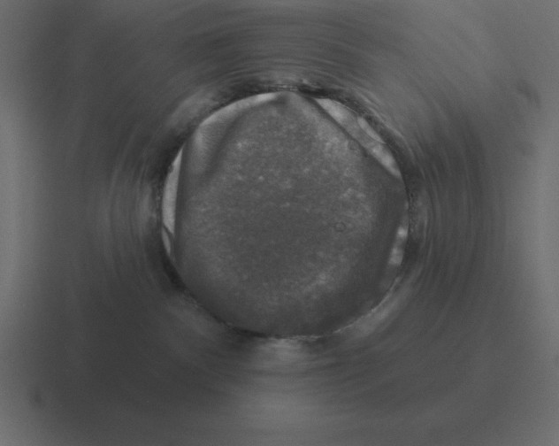 X0000116450140200912291954