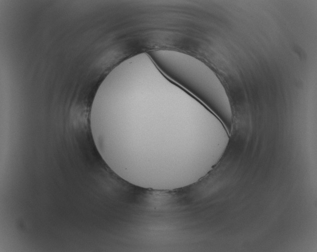 X0000116450141200912291954