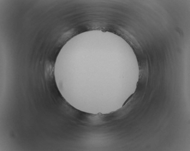X0000116450142200912291954