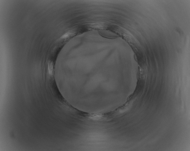 X0000116450143200912291954