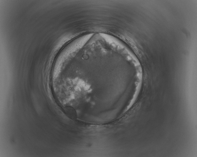 X0000116450145200912291954