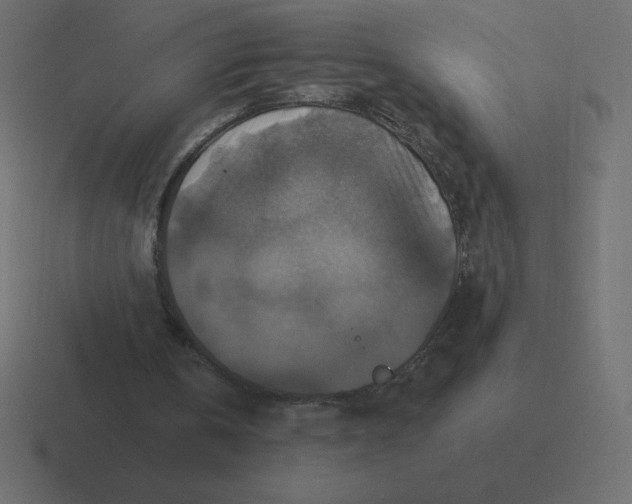 X0000116450146200912291954