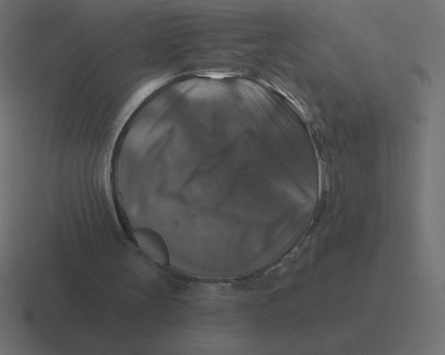 X0000116450147200912291954