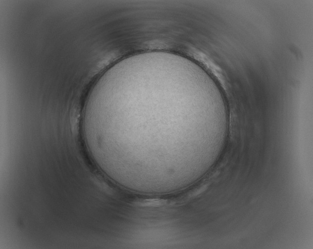 X0000116450153200912291954