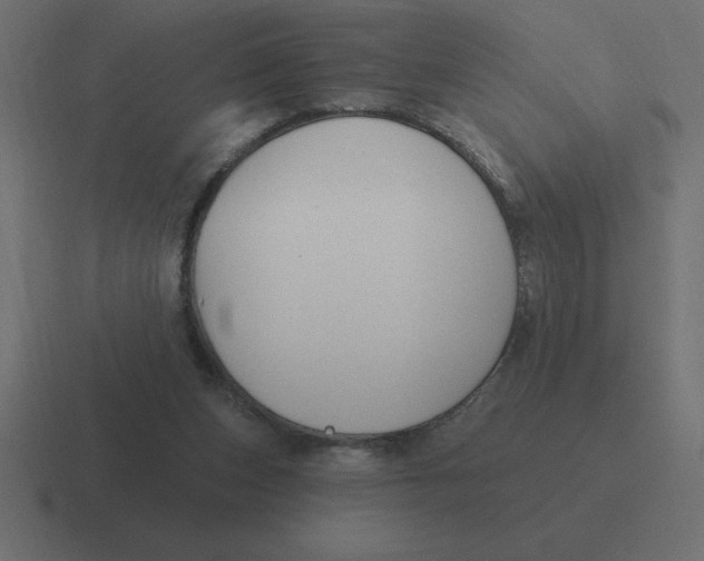 X0000116450159200912291954