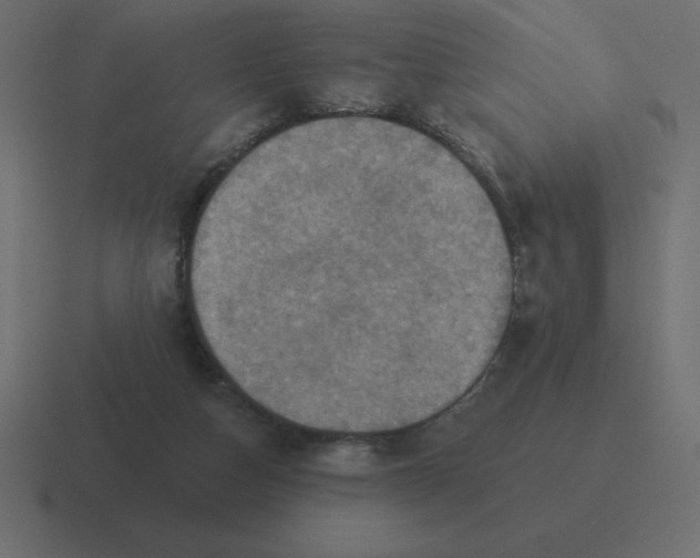 X0000116450162200912291954