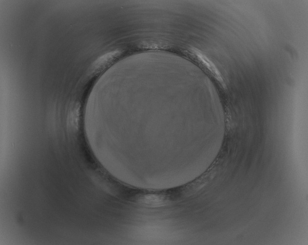 X0000116450163200912291954