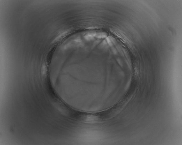 X0000116450165200912291954