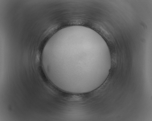 X0000116450166200912291954