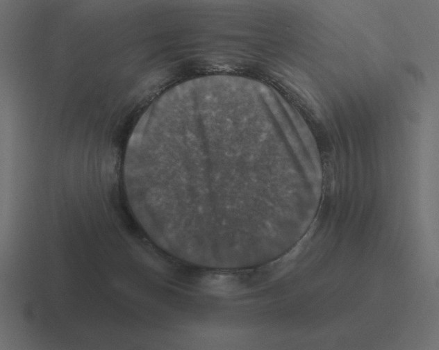 X0000116450174200912291954