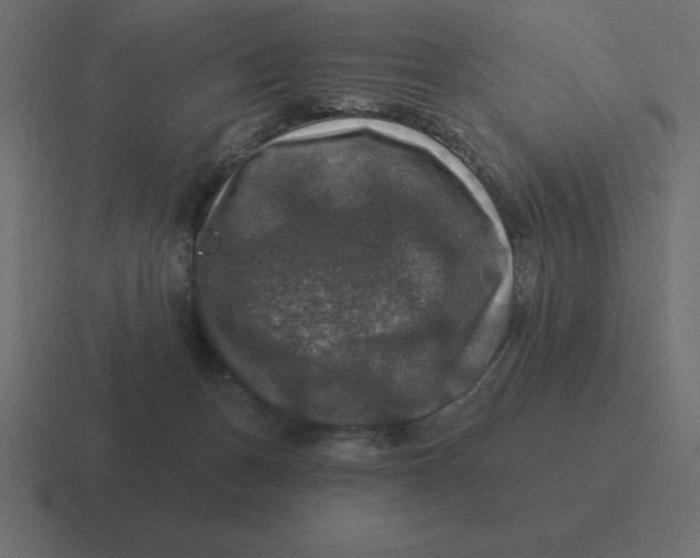 X0000116450175200912291954