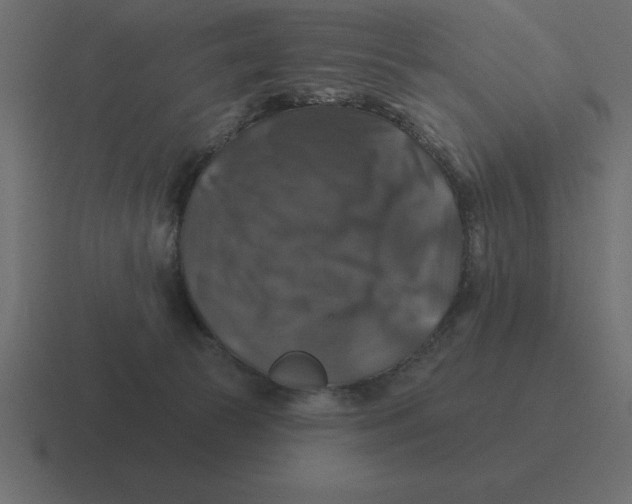 X0000116450177200912291954