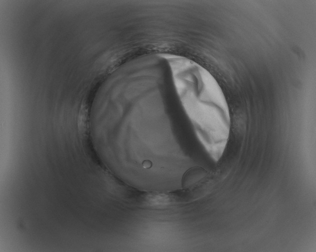 X0000116450181200912291954
