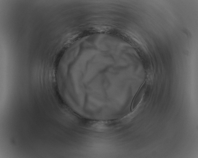 X0000116450182200912291954