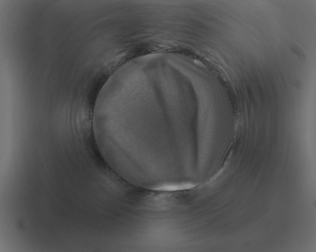 X0000116450186200912291954