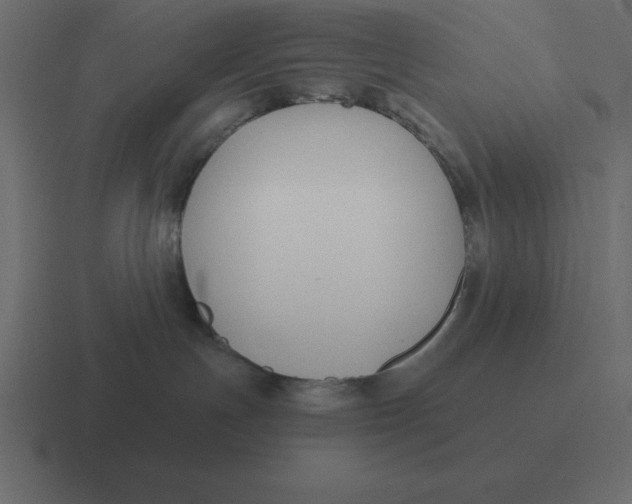 X0000116450191200912291954