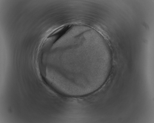 X0000116450193200912291954