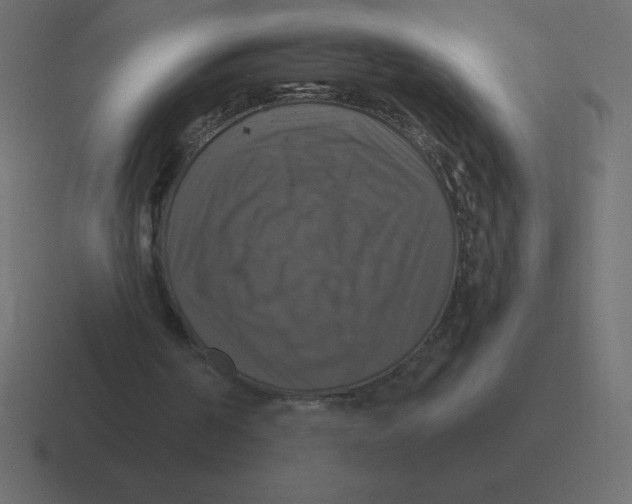 X0000116450194200912291954