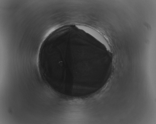 X0000116450196200912291954