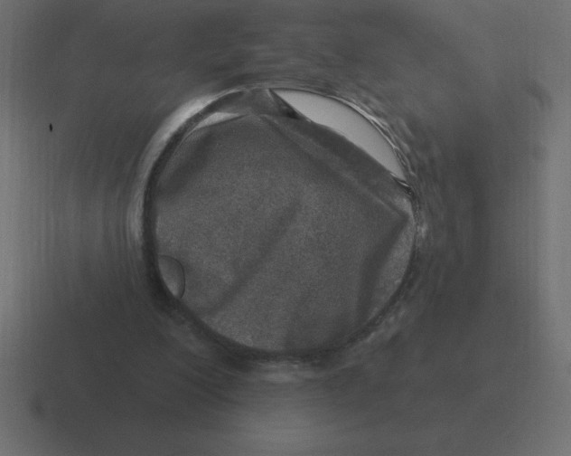 X0000116450200200912291954