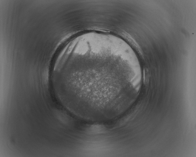 X0000116450204200912291954