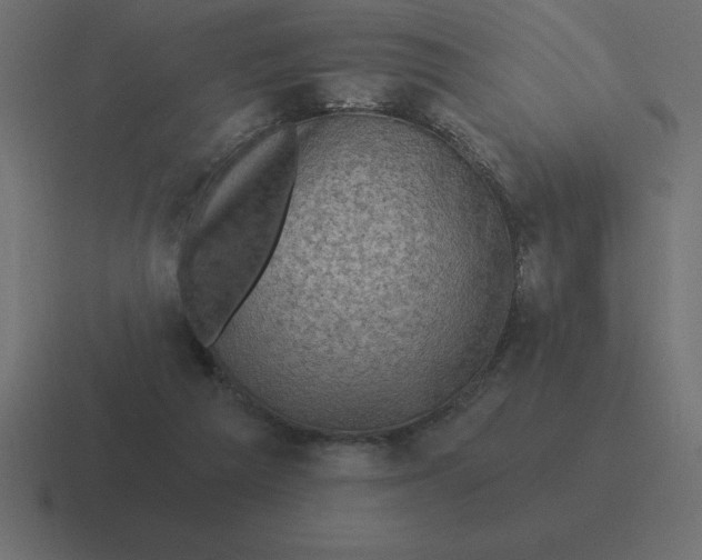 X0000116450209200912291954